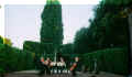 docu0216.jpg (65593 byte)